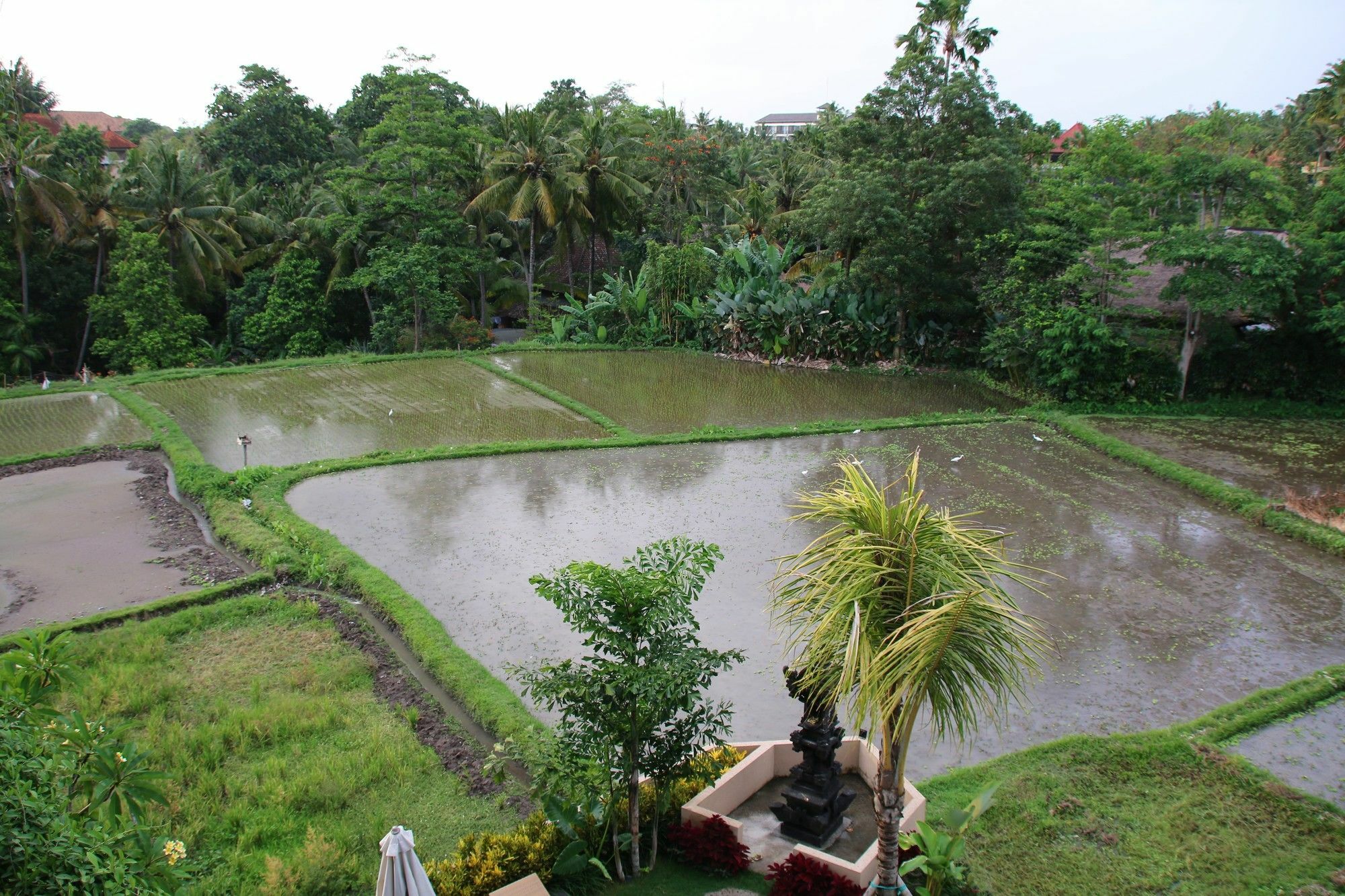 Byasa Ubud Exterior foto