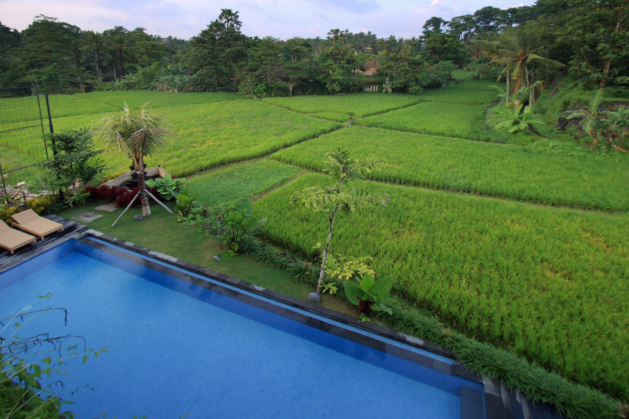 Byasa Ubud Exterior foto