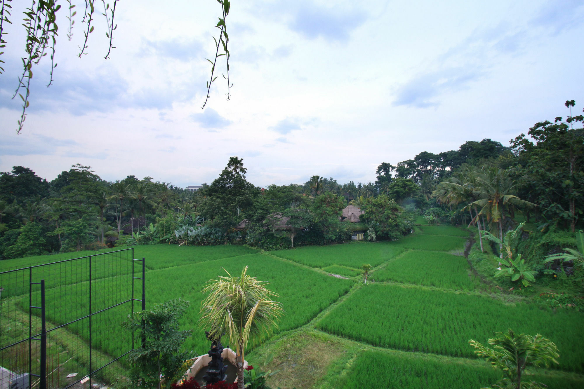 Byasa Ubud Exterior foto